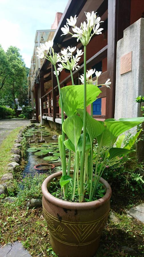 Monet Garden Coffee Farm Chinan Exterior foto